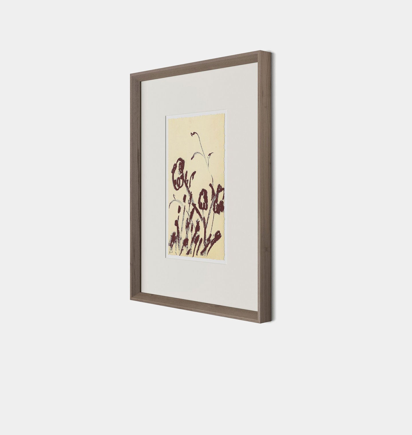 Amber Interiors - Meadow Rue No.4 Framed Print