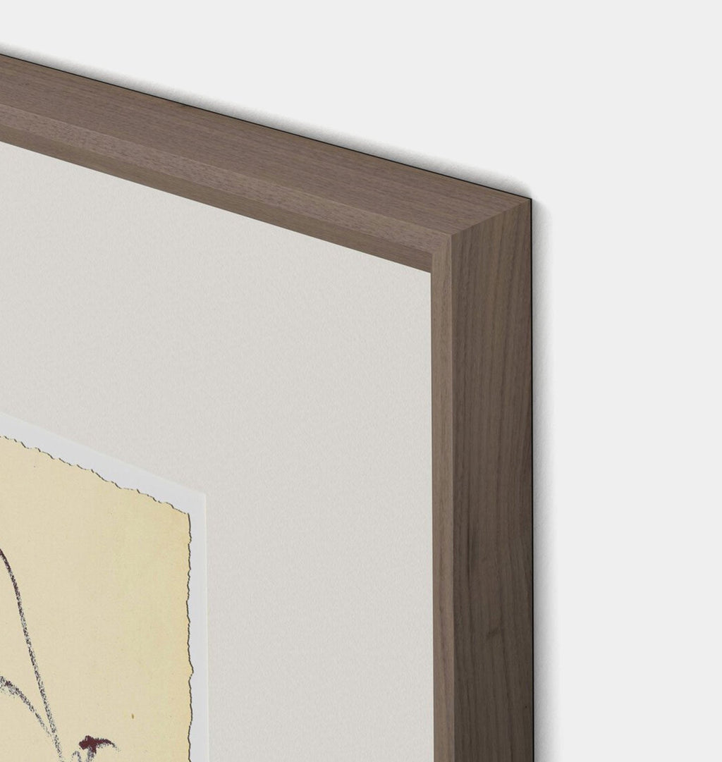 Amber Interiors - Meadow Rue No.4 Framed Print