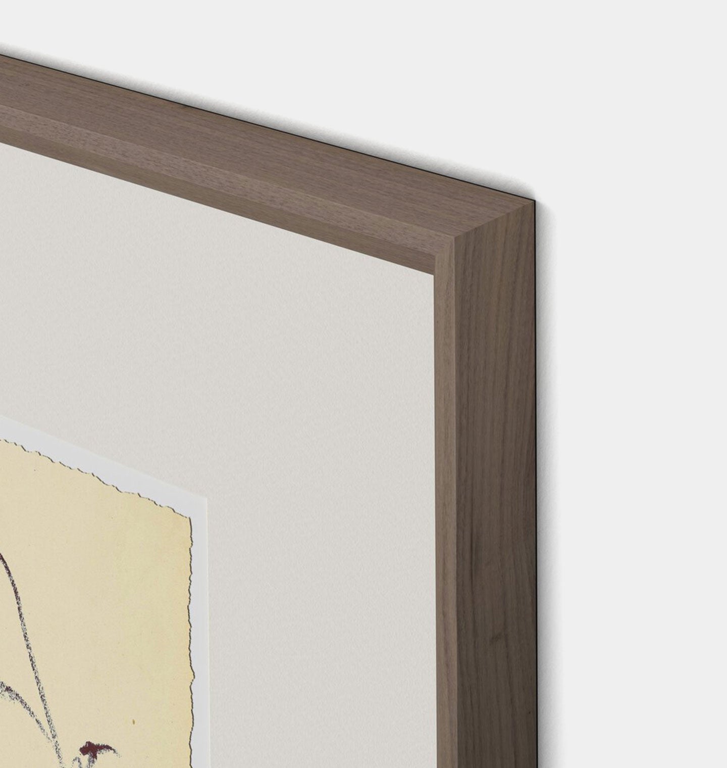 Amber Interiors - Meadow Rue No.4 Framed Print