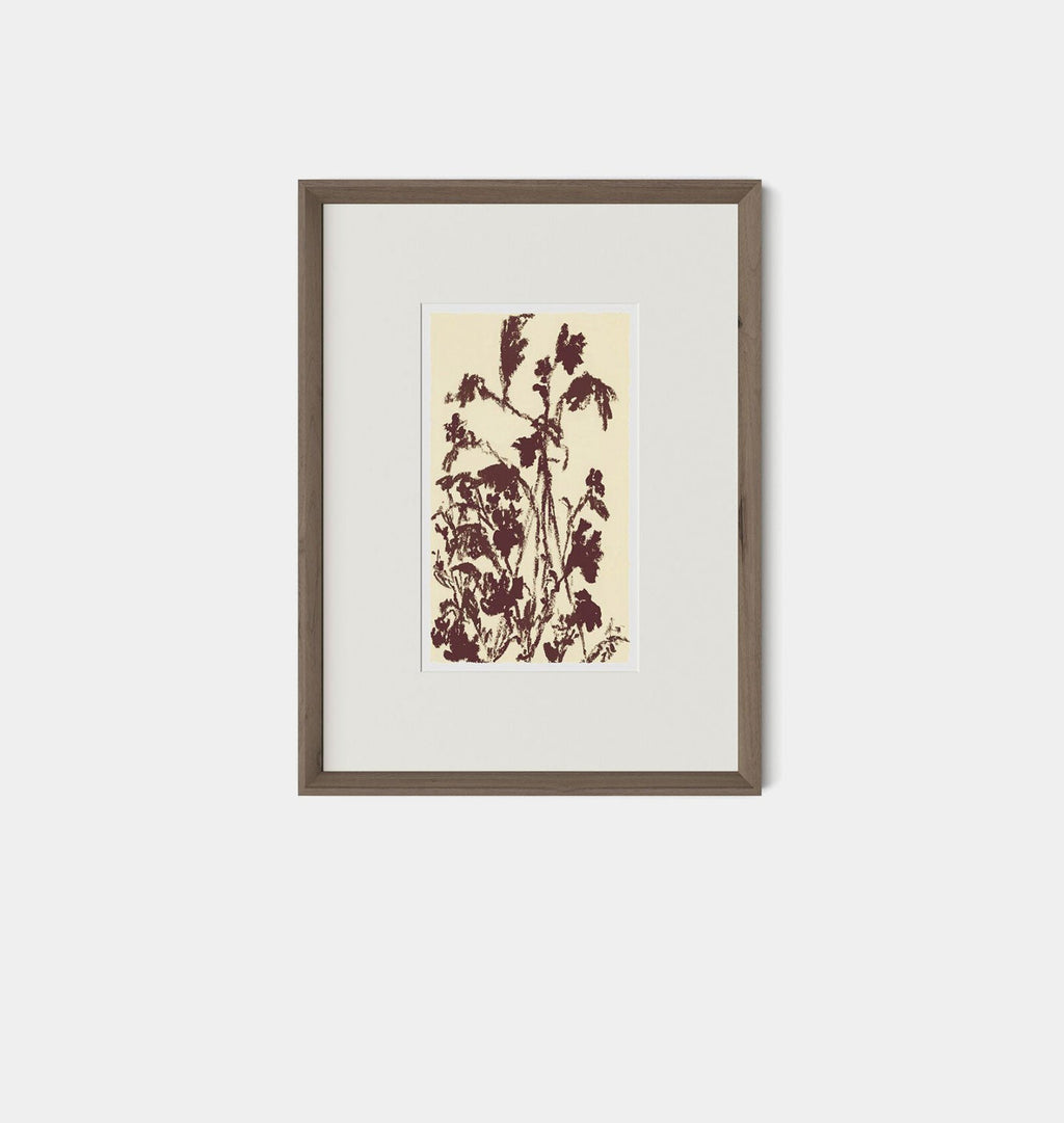 Amber Interiors - Meadow Rue No.5 Framed Print