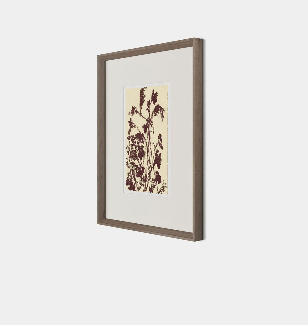 Amber Interiors - Meadow Rue No.5 Framed Print