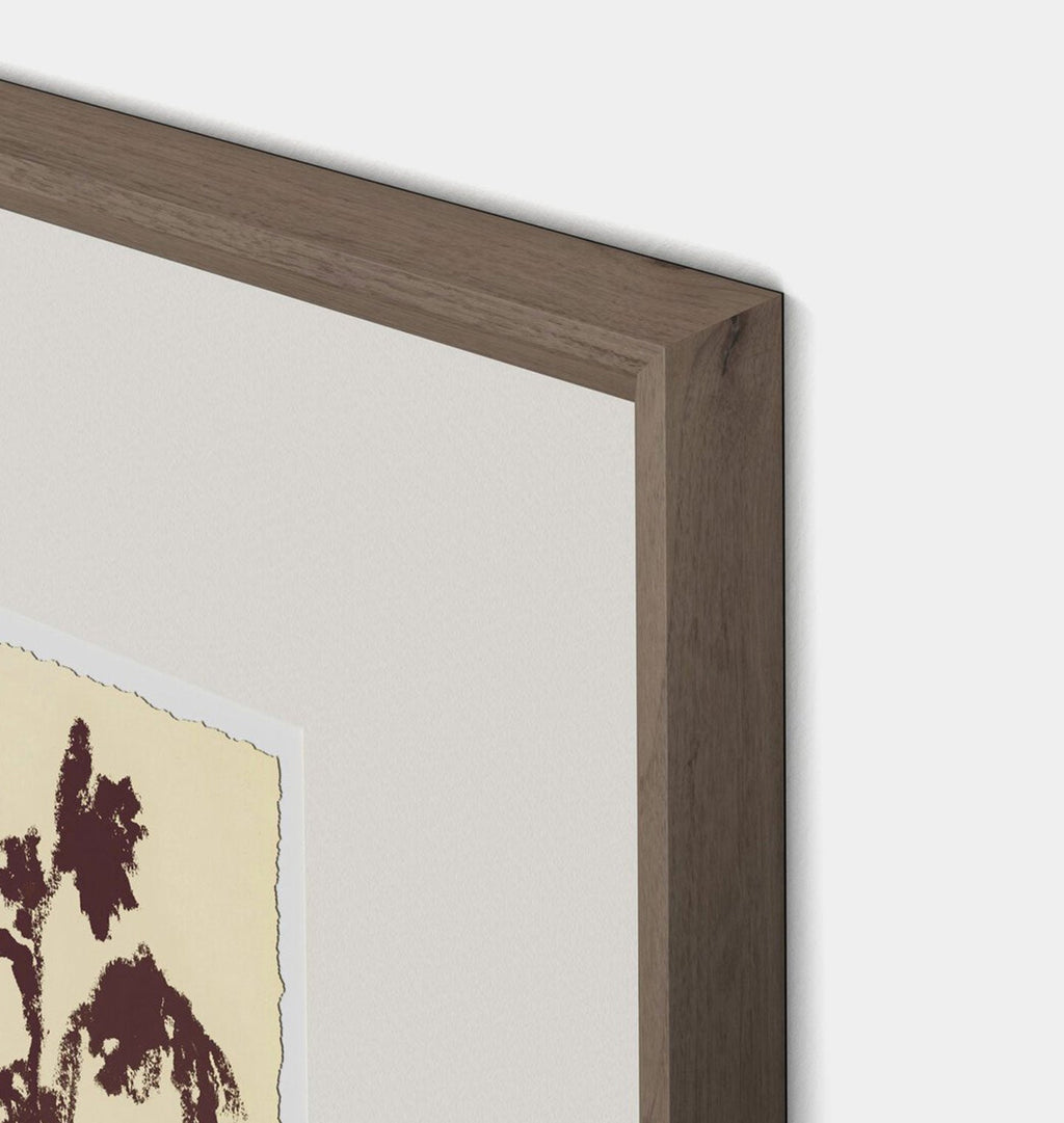Amber Interiors - Meadow Rue No.5 Framed Print