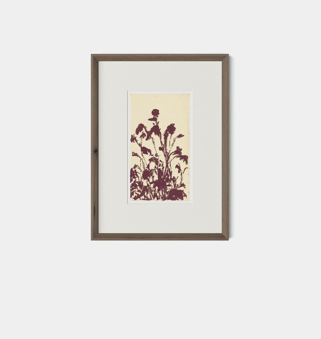 Amber Interiors - Meadow Rue No.6 Framed Print