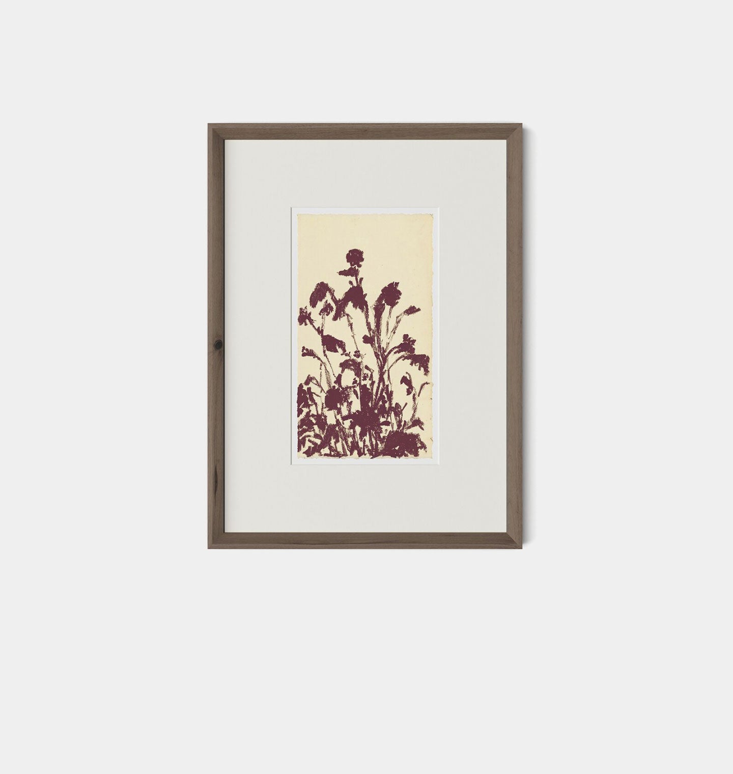 Amber Interiors - Meadow Rue No.6 Framed Print