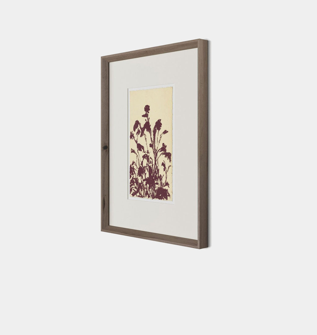 Amber Interiors - Meadow Rue No.6 Framed Print