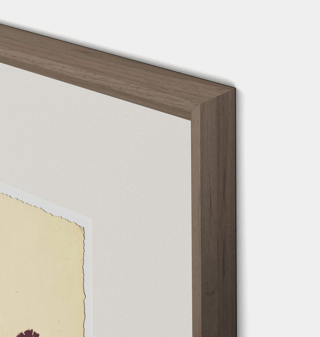 Amber Interiors - Meadow Rue No.6 Framed Print