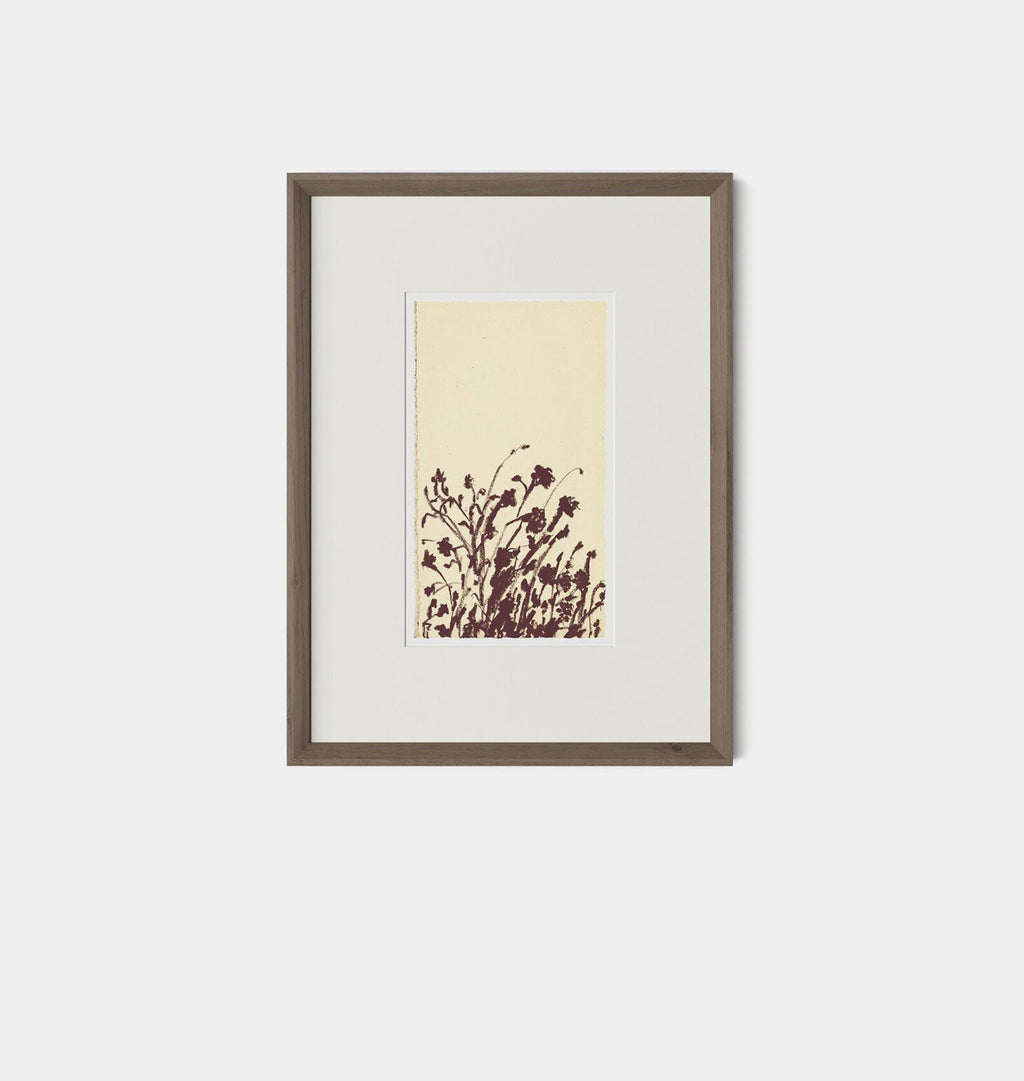 Amber Interiors - Meadow Rue No.7 Framed Print