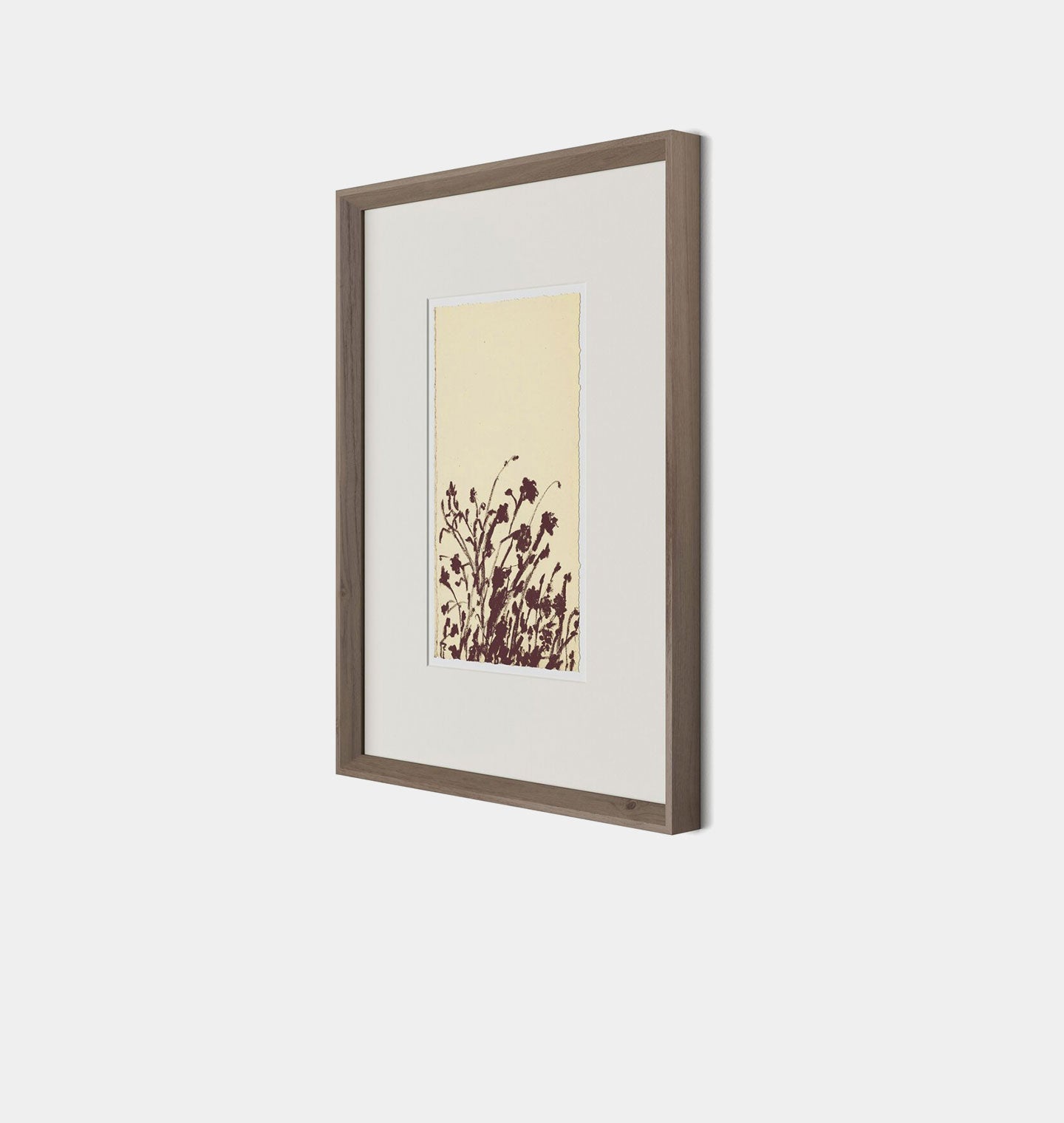 Amber Interiors - Meadow Rue No.7 Framed Print