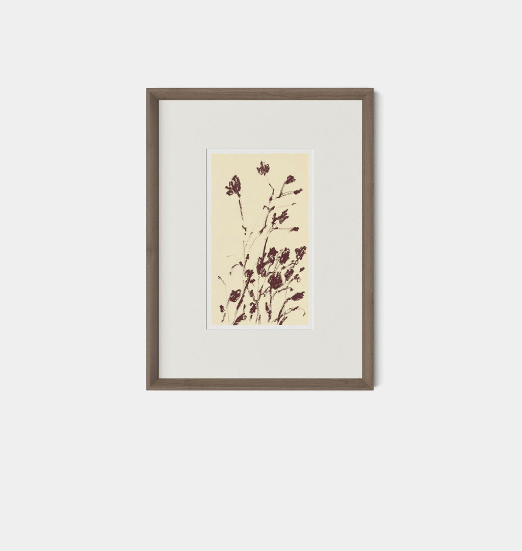 Amber Interiors - Meadow Rue No.8 Framed Print