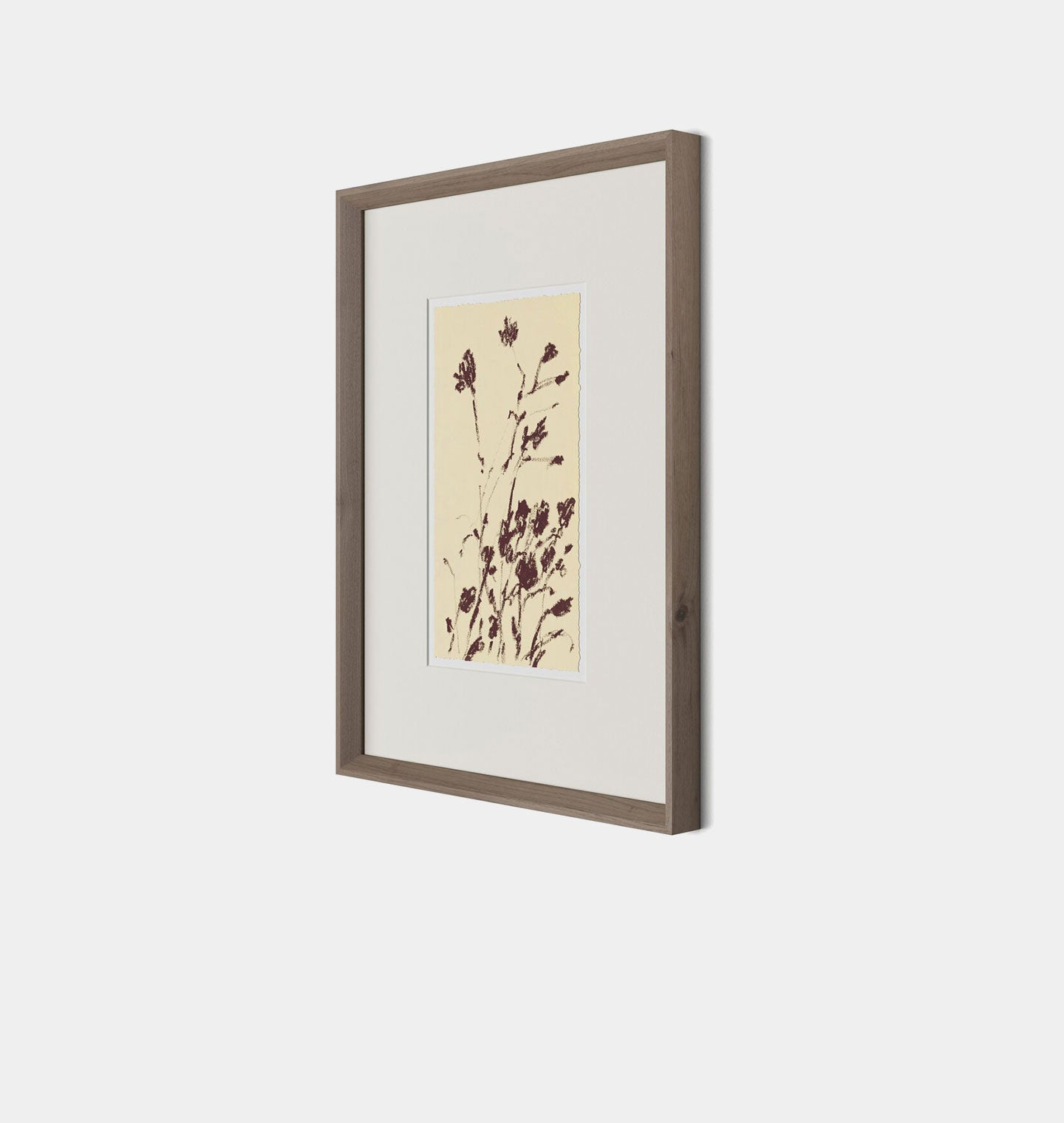 Amber Interiors - Meadow Rue No.8 Framed Print