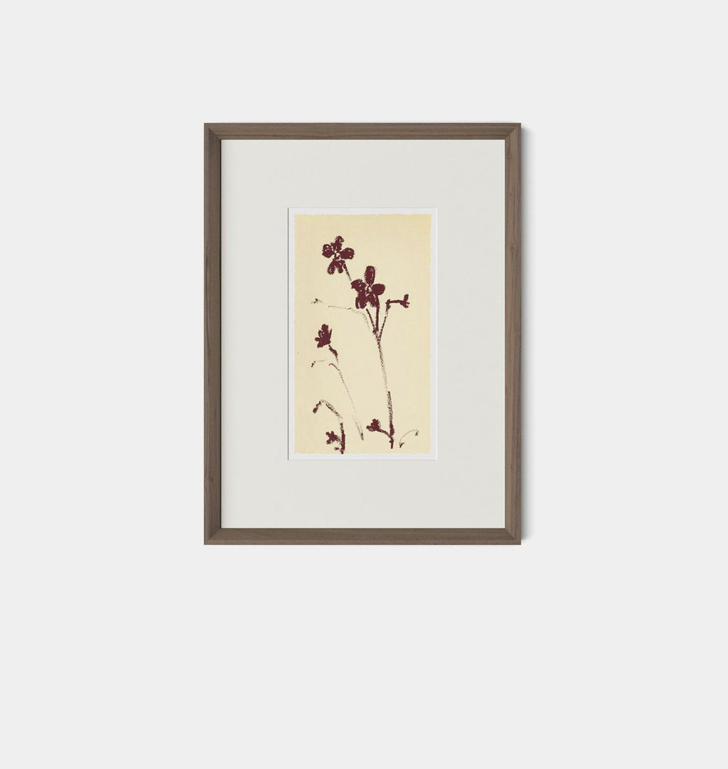 Amber Interiors - Meadow Rue No.9 Framed Print