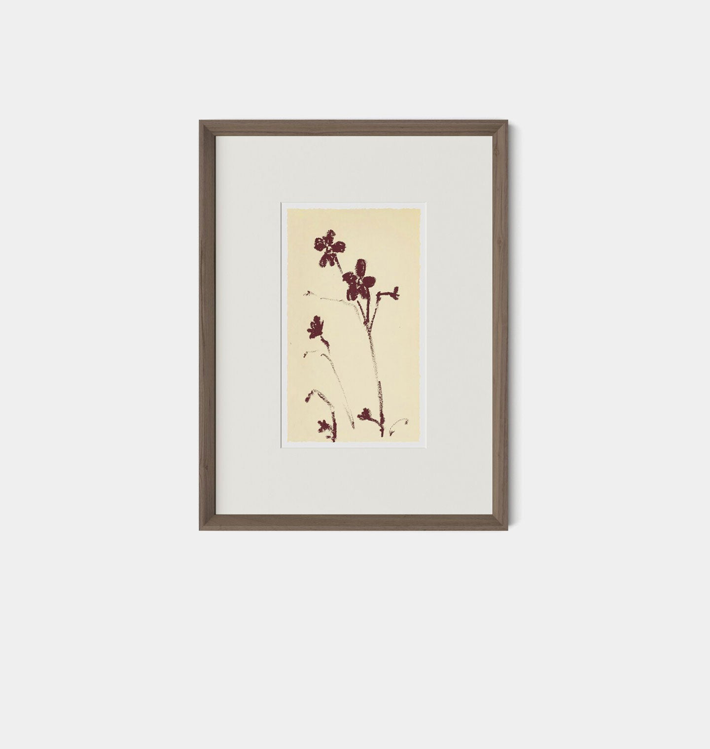 Amber Interiors - Meadow Rue No.9 Framed Print