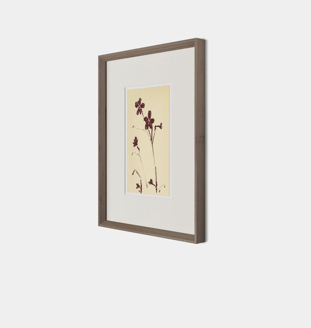 Amber Interiors - Meadow Rue No.9 Framed Print