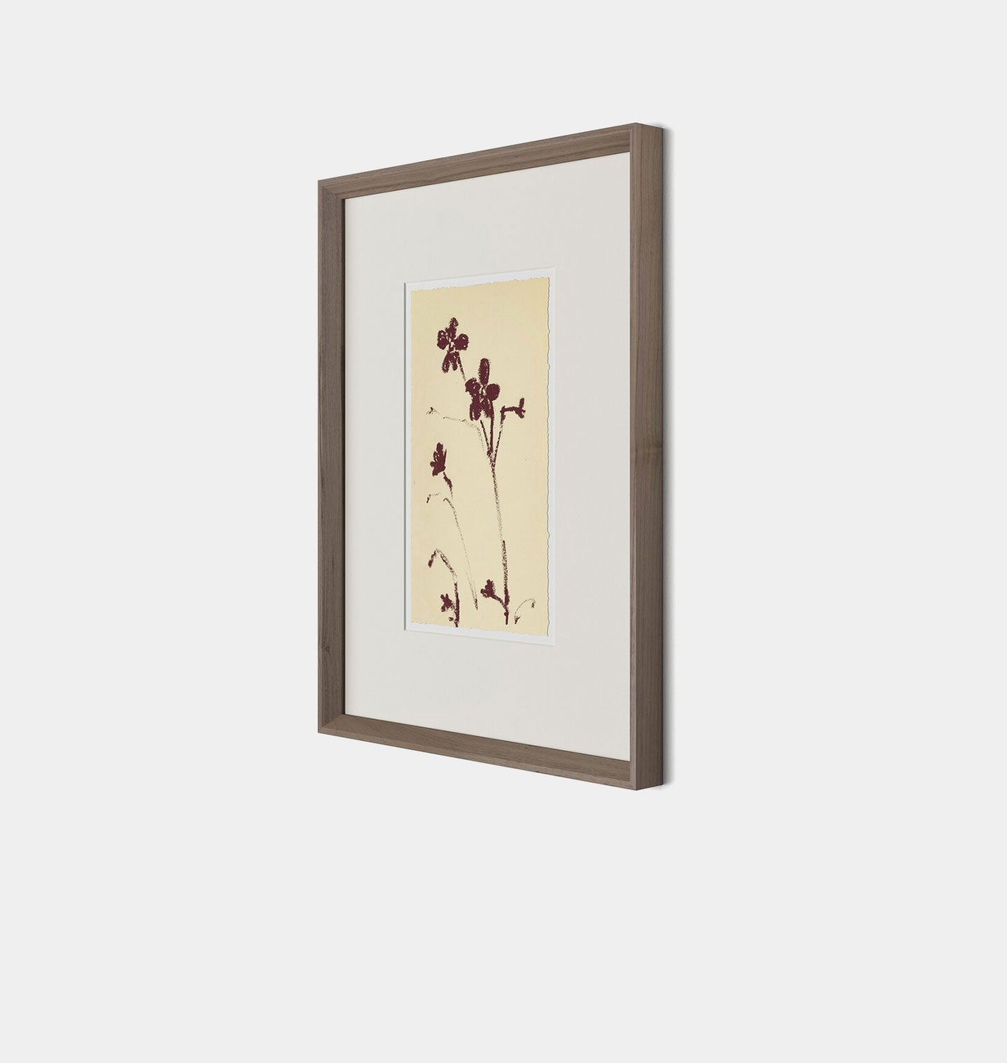 Amber Interiors - Meadow Rue No.9 Framed Print