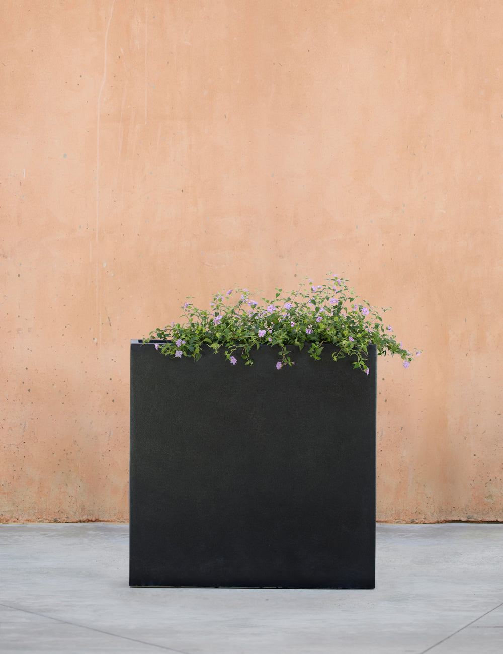 Lulu and Georgia - Metro Box Planters by Campania International