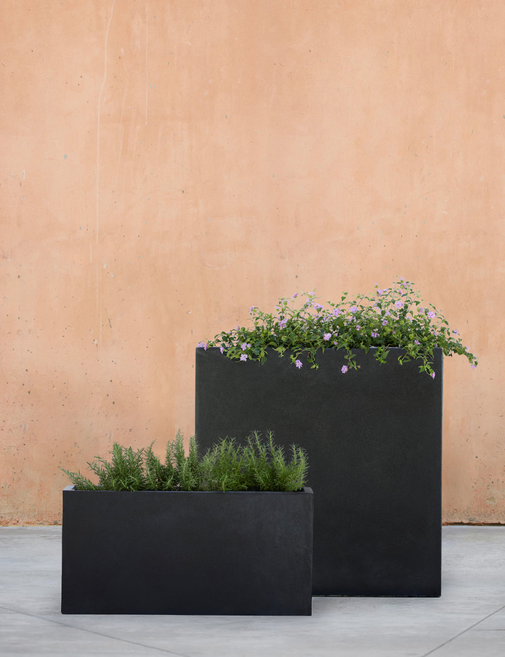 Lulu and Georgia - Metro Box Planters by Campania International