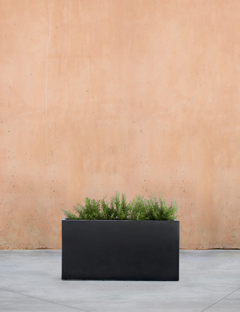 Lulu and Georgia - Metro Box Planters by Campania International