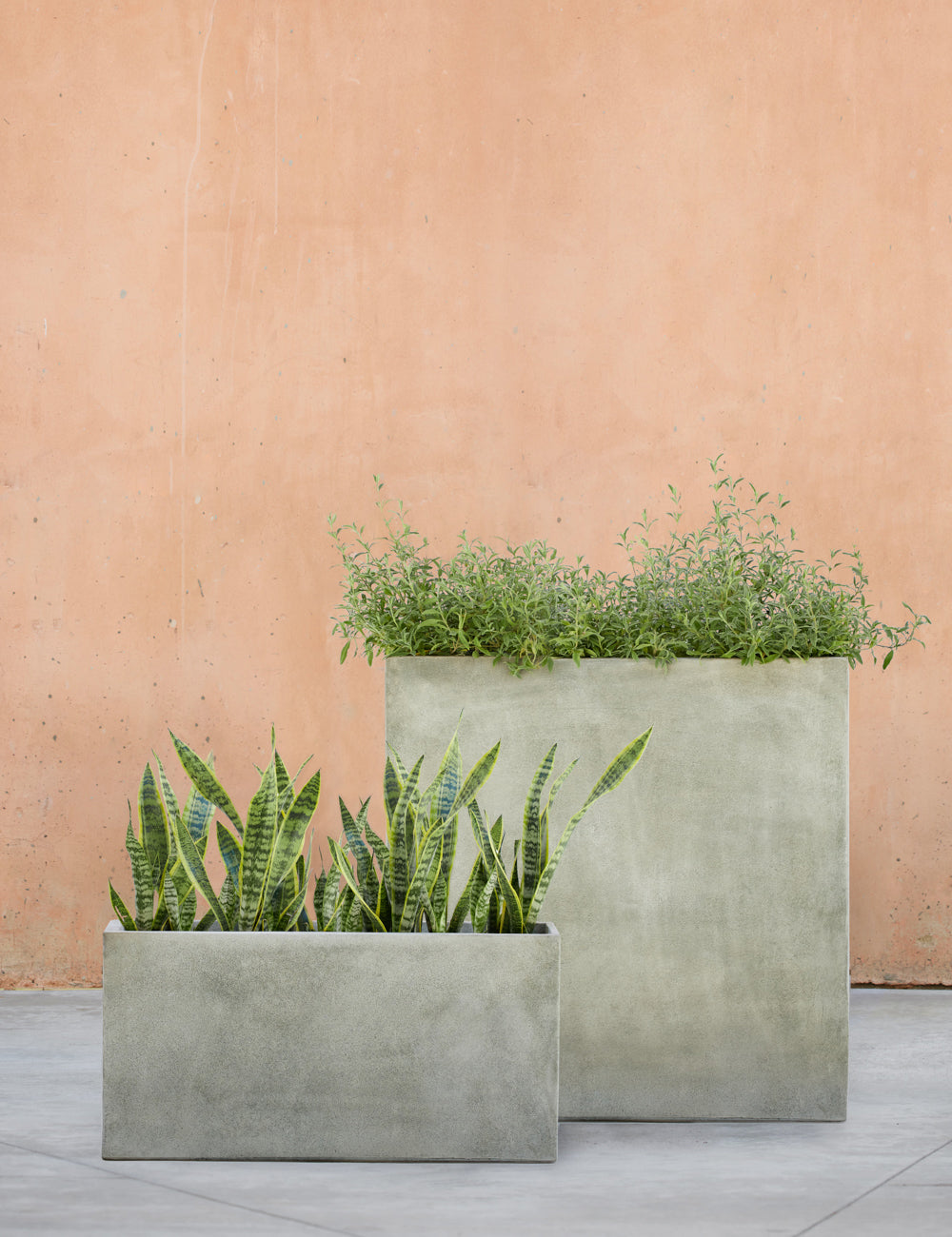 Lulu and Georgia - Metro Box Planters by Campania International