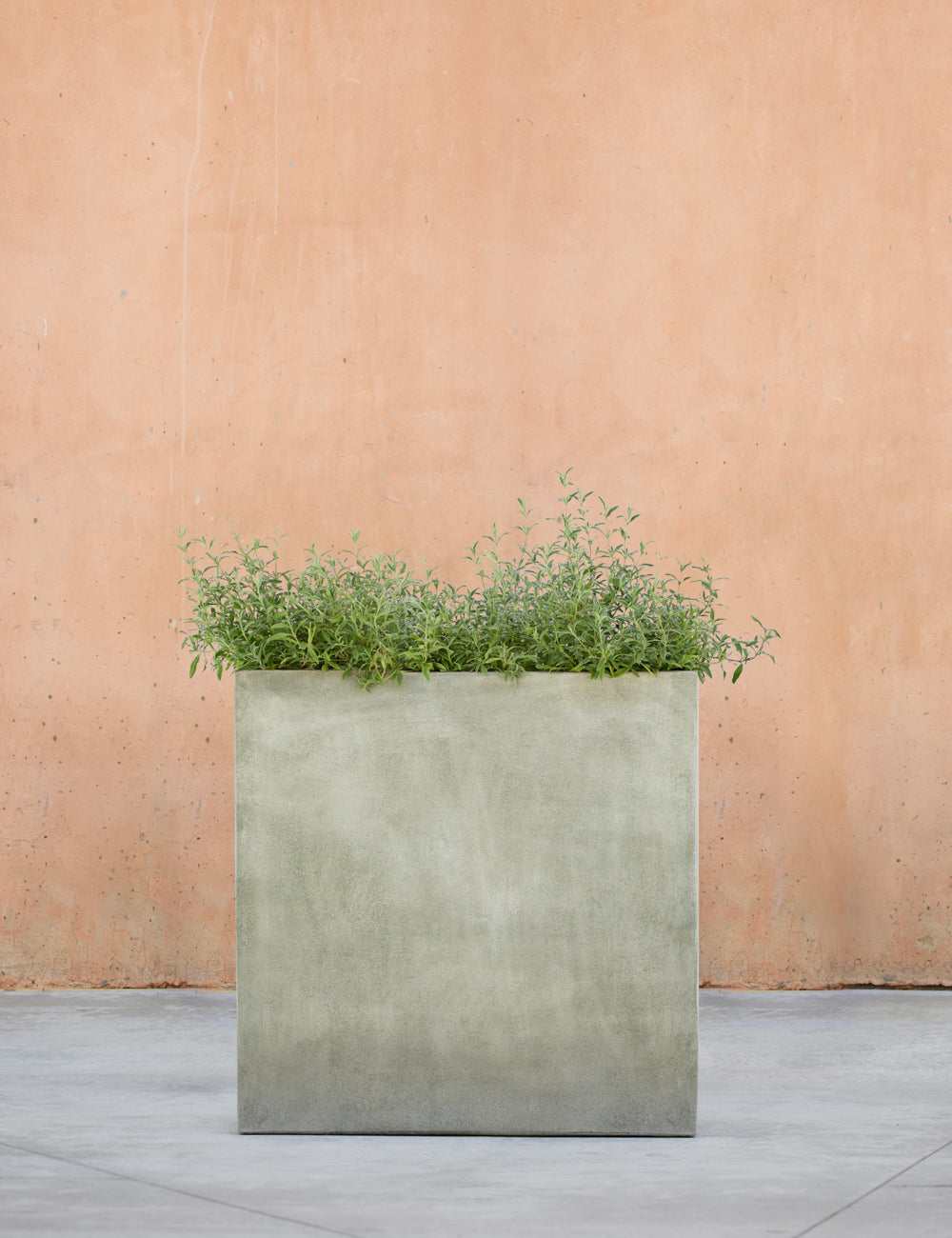 Lulu and Georgia - Metro Box Planters by Campania International