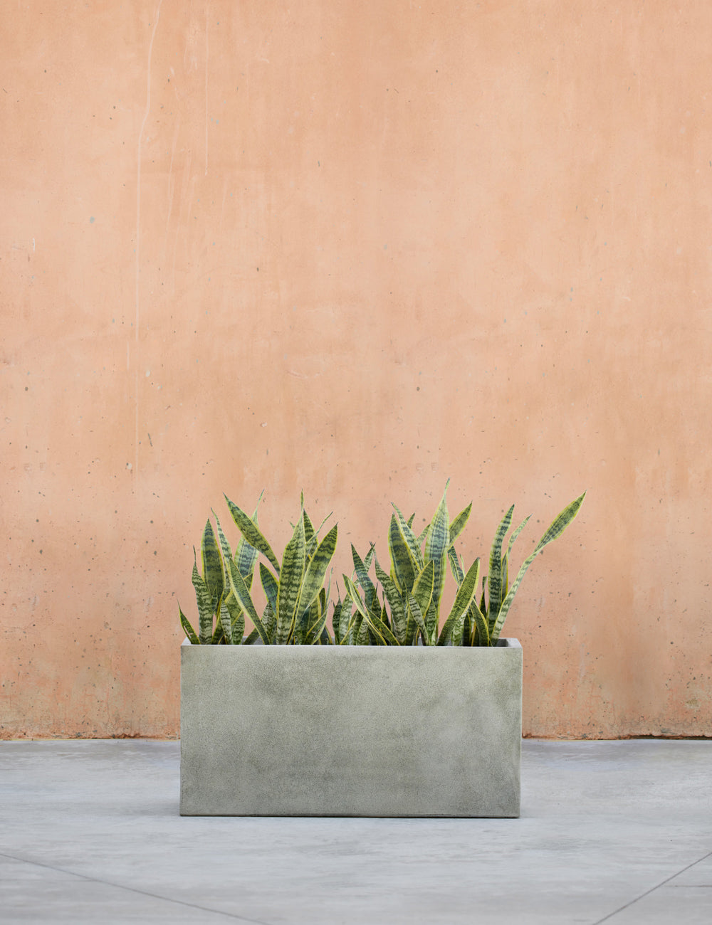 Lulu and Georgia - Metro Box Planters by Campania International