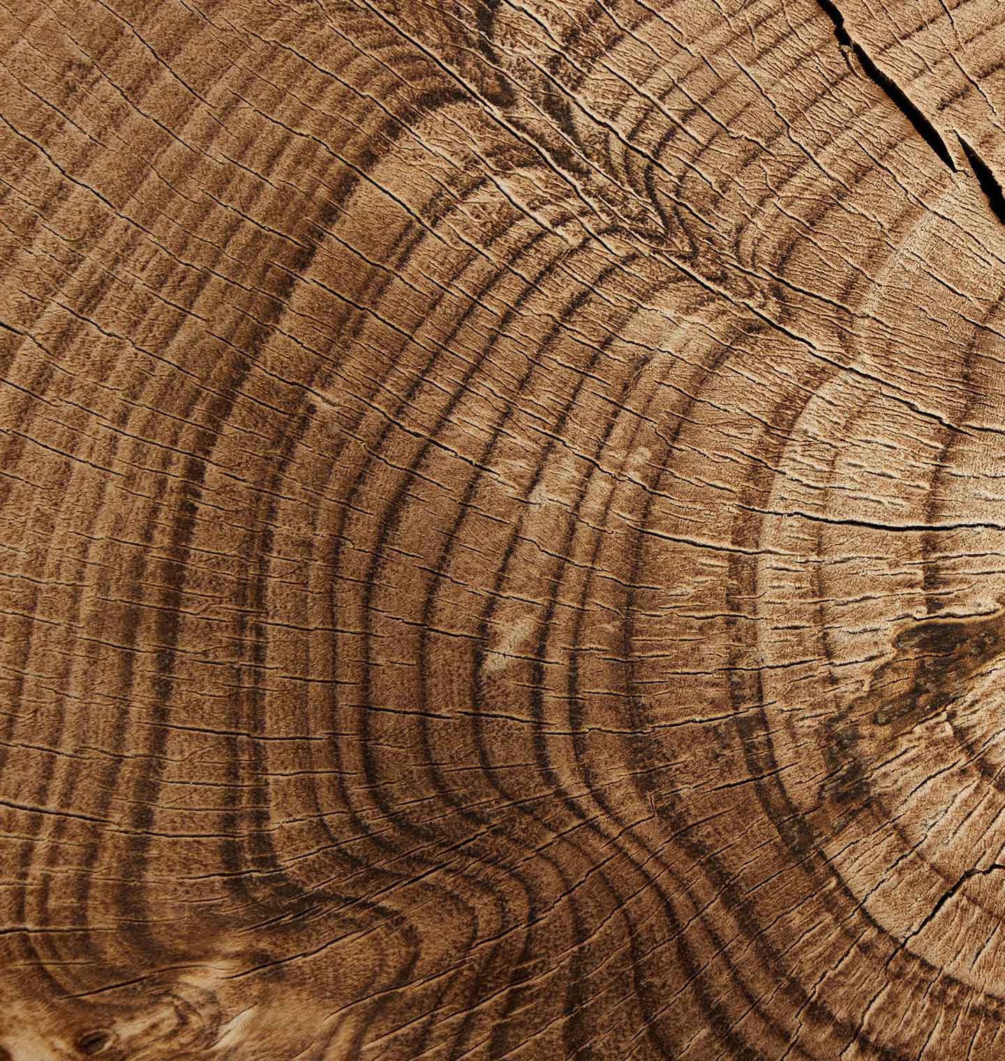 Amber Interiors - Montero Wood Bowl