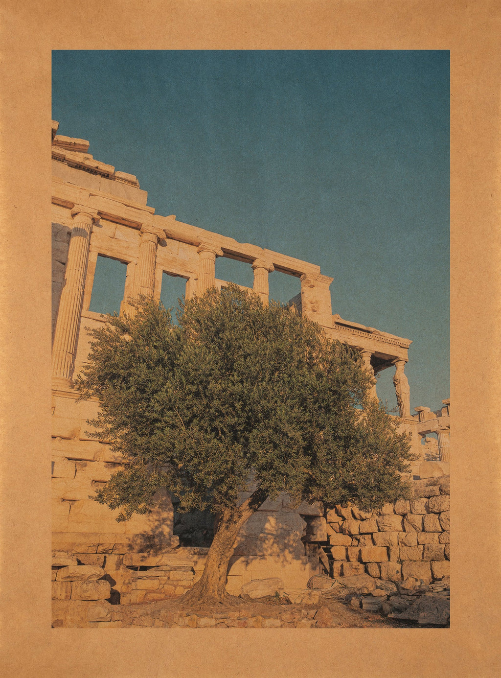 Nicky Kehoe - Moria Elia, Athena's Olive Tree