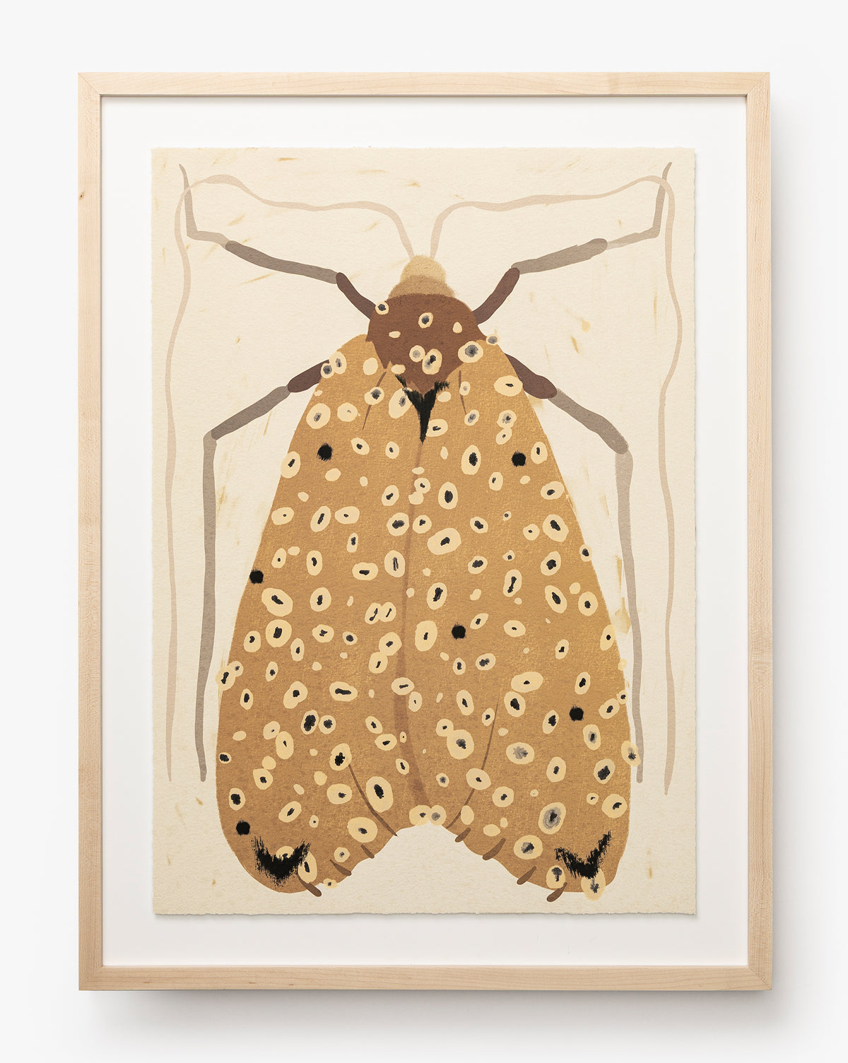 McGee & Co - Moth IV By Coup d'Esprit