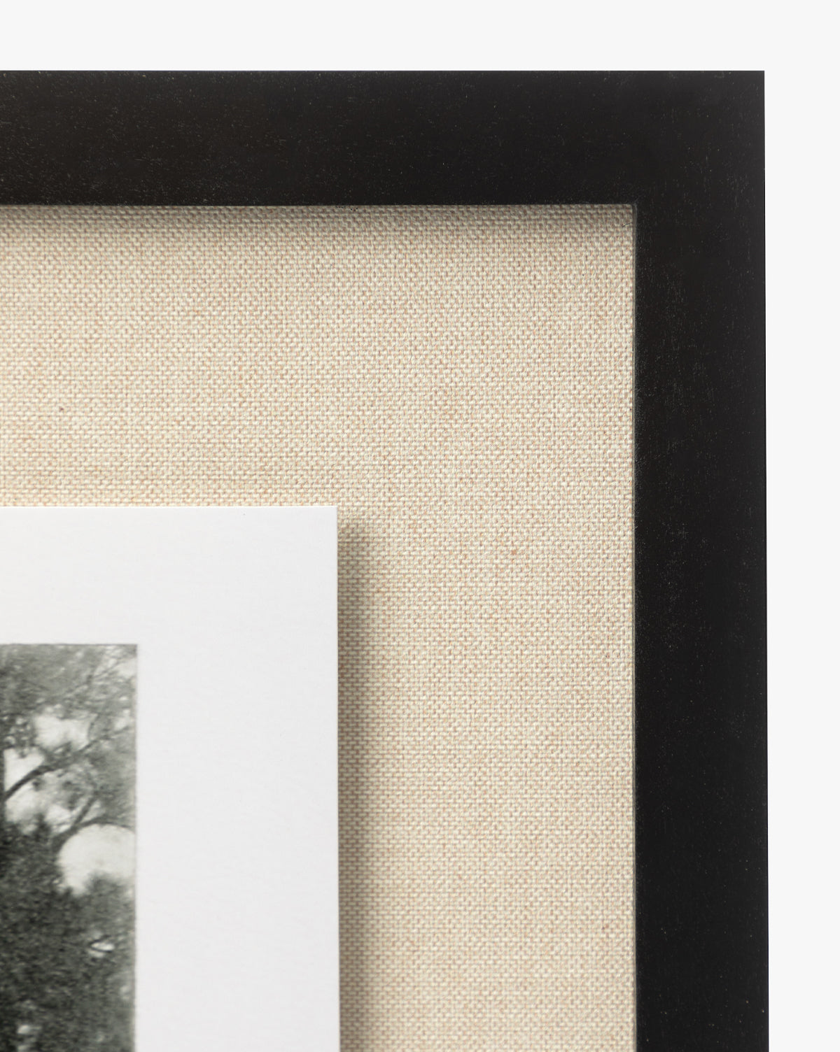 McGee & Co - Muted Florida Pines by Carol Haymon