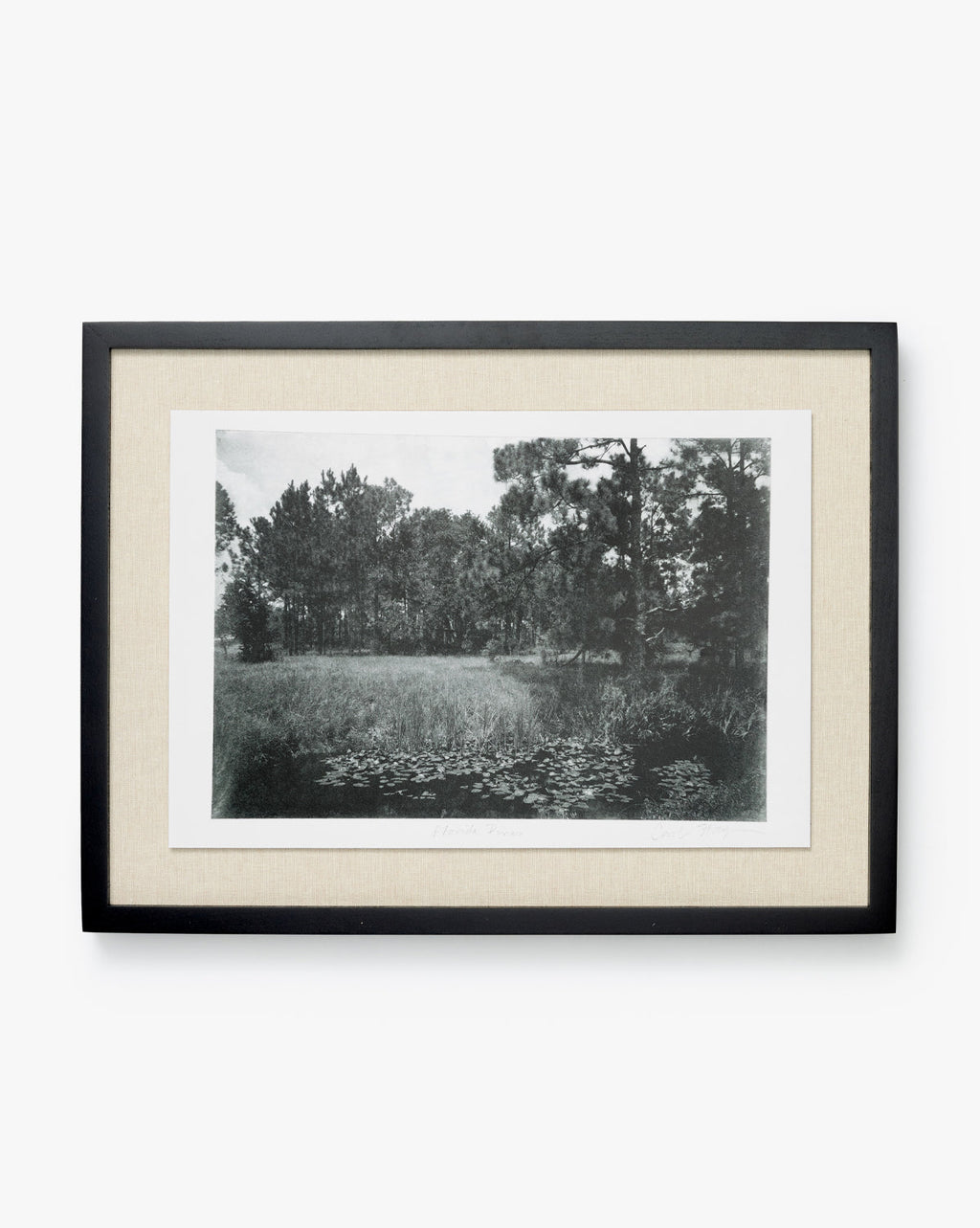 McGee & Co - Muted Florida Pines by Carol Haymon