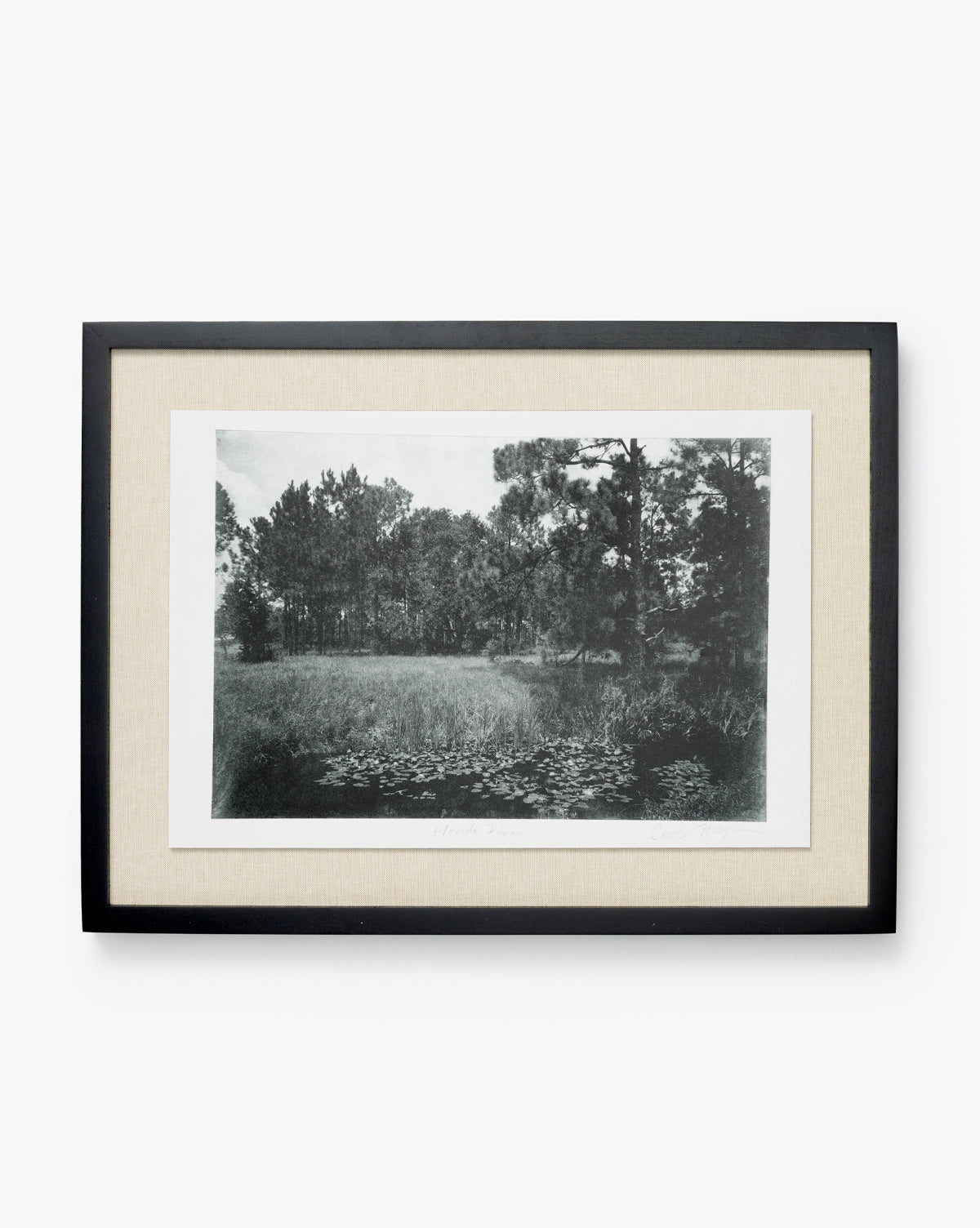 McGee & Co - Muted Florida Pines by Carol Haymon