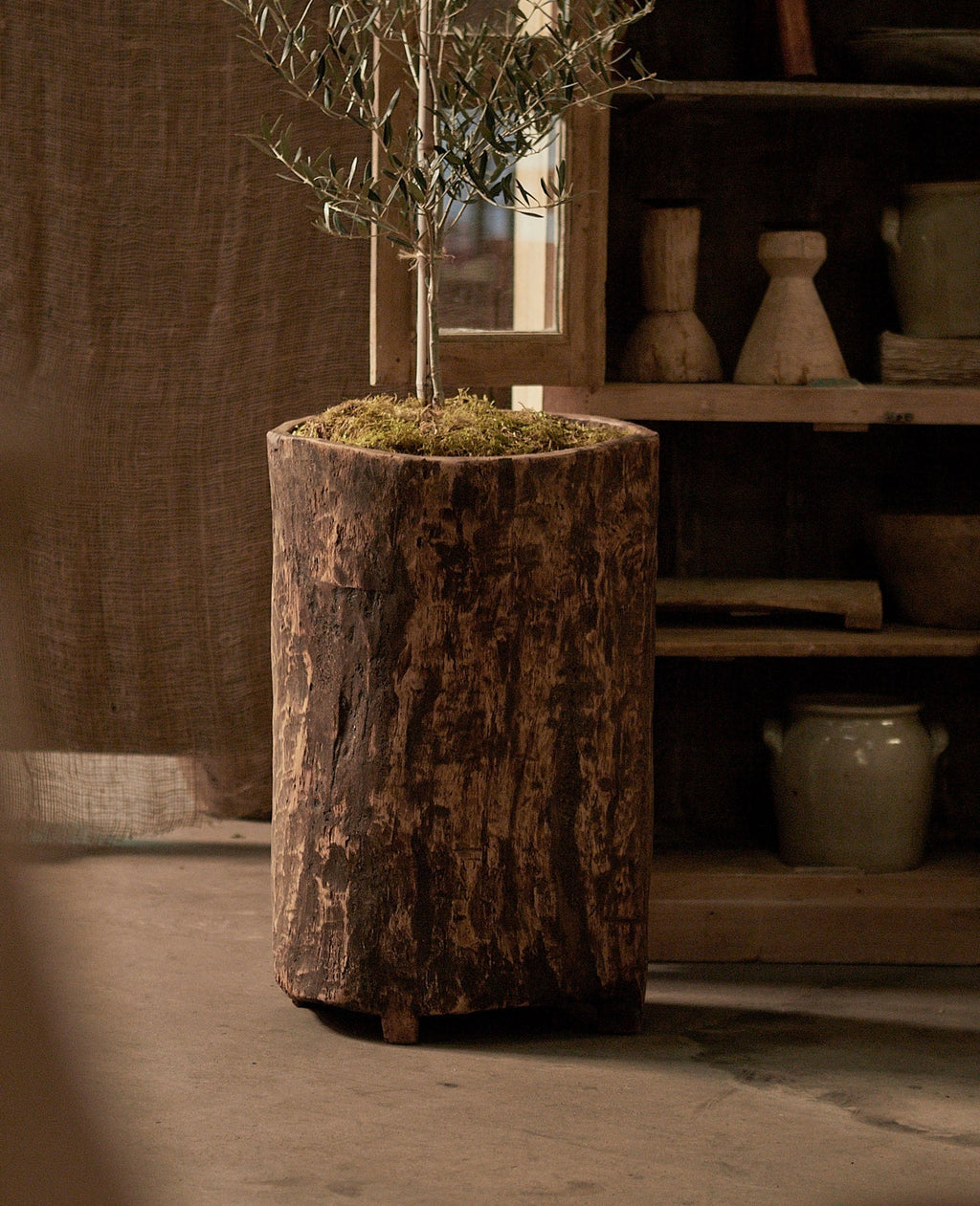 Olive Ateliers - Nagaland Planter - Assorted