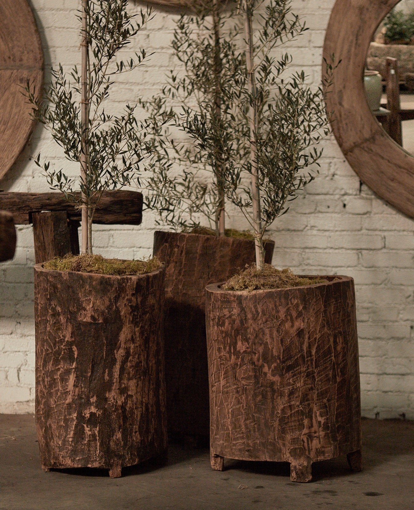 Olive Ateliers - Nagaland Planter - Assorted
