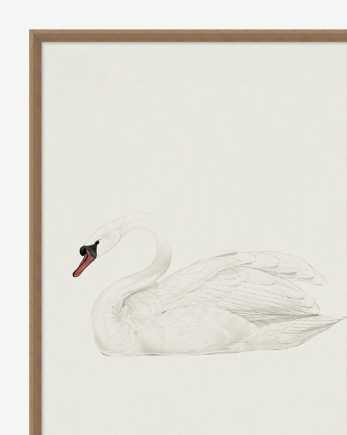 McGee & Co - Neutral Swan