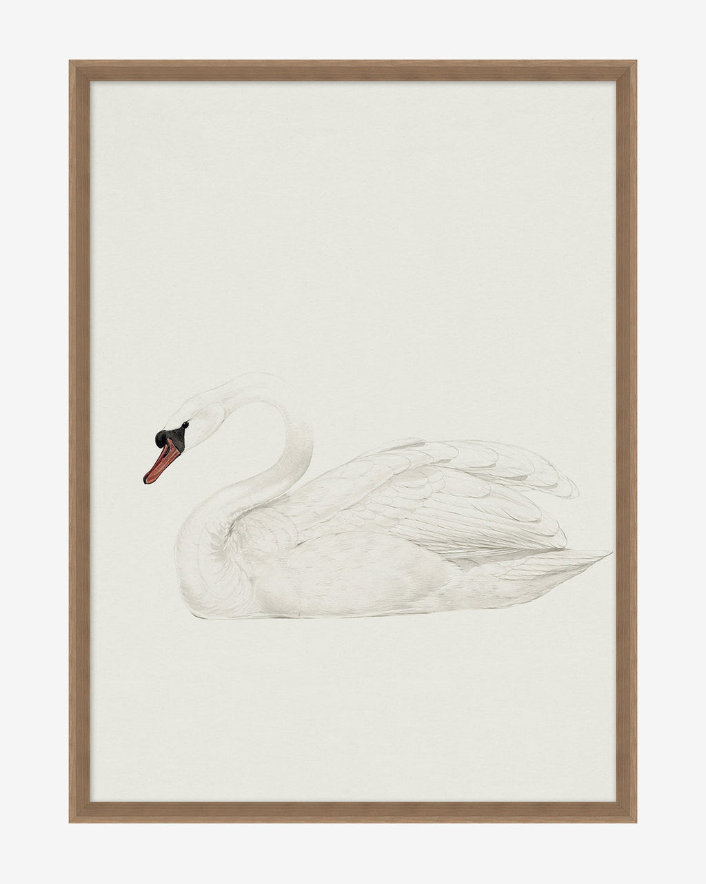McGee & Co - Neutral Swan