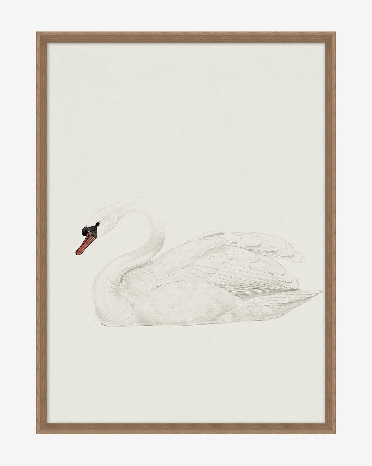 McGee & Co - Neutral Swan