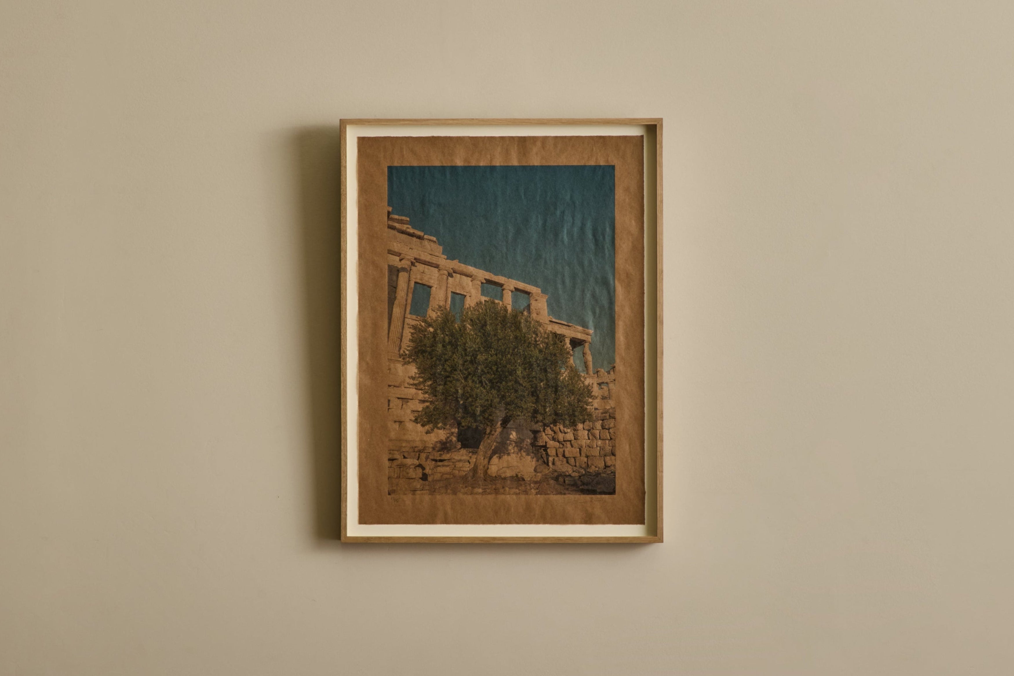 Nicky Kehoe - Moria Elia, Athena's Olive Tree