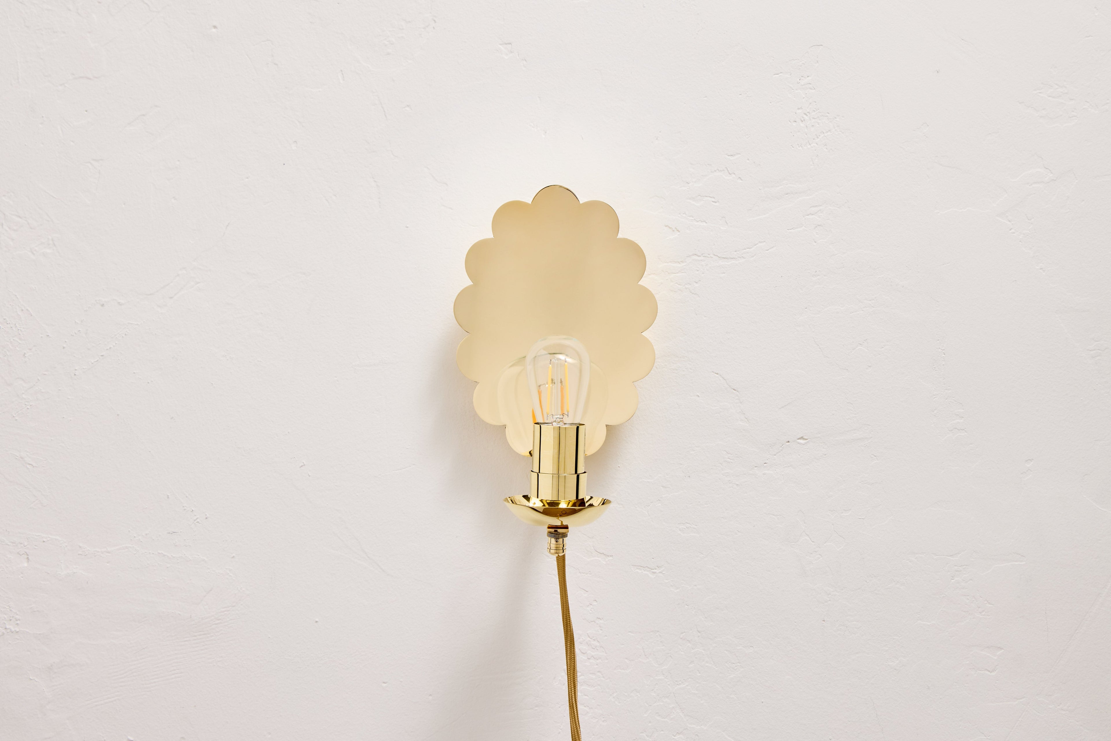 Nicky Kehoe - Scallop Sconce, Plug - In