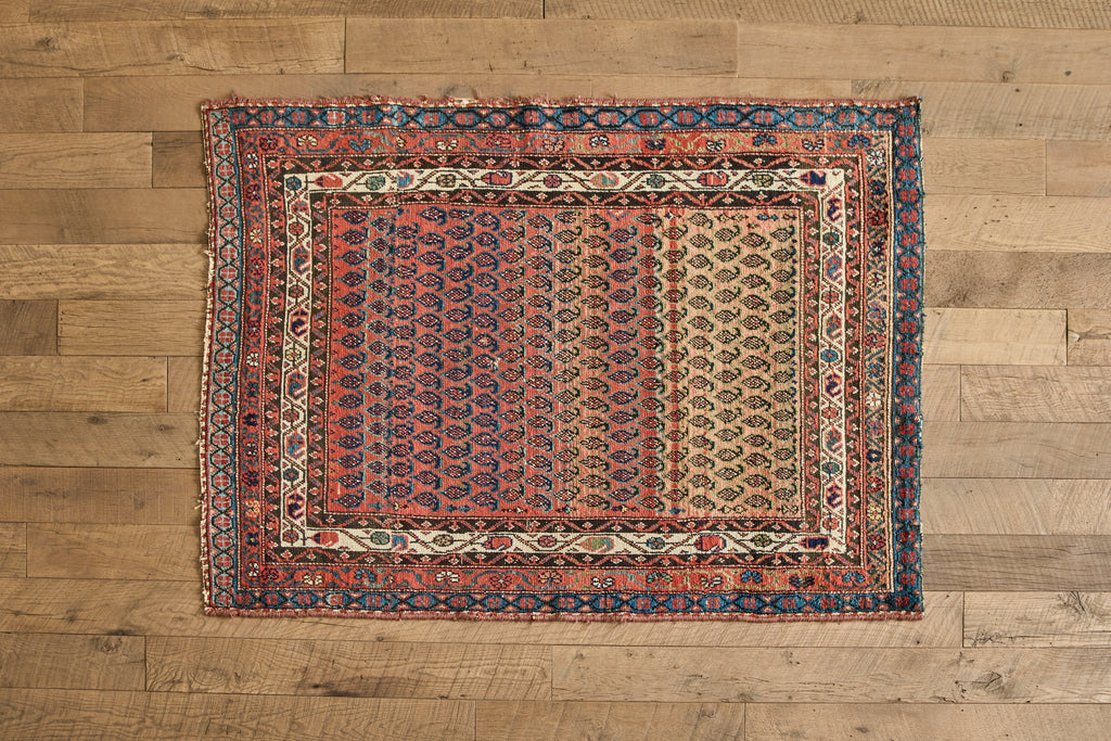 Nicky Kehoe - Paisley Pattern Rug 3'10 X 5'3