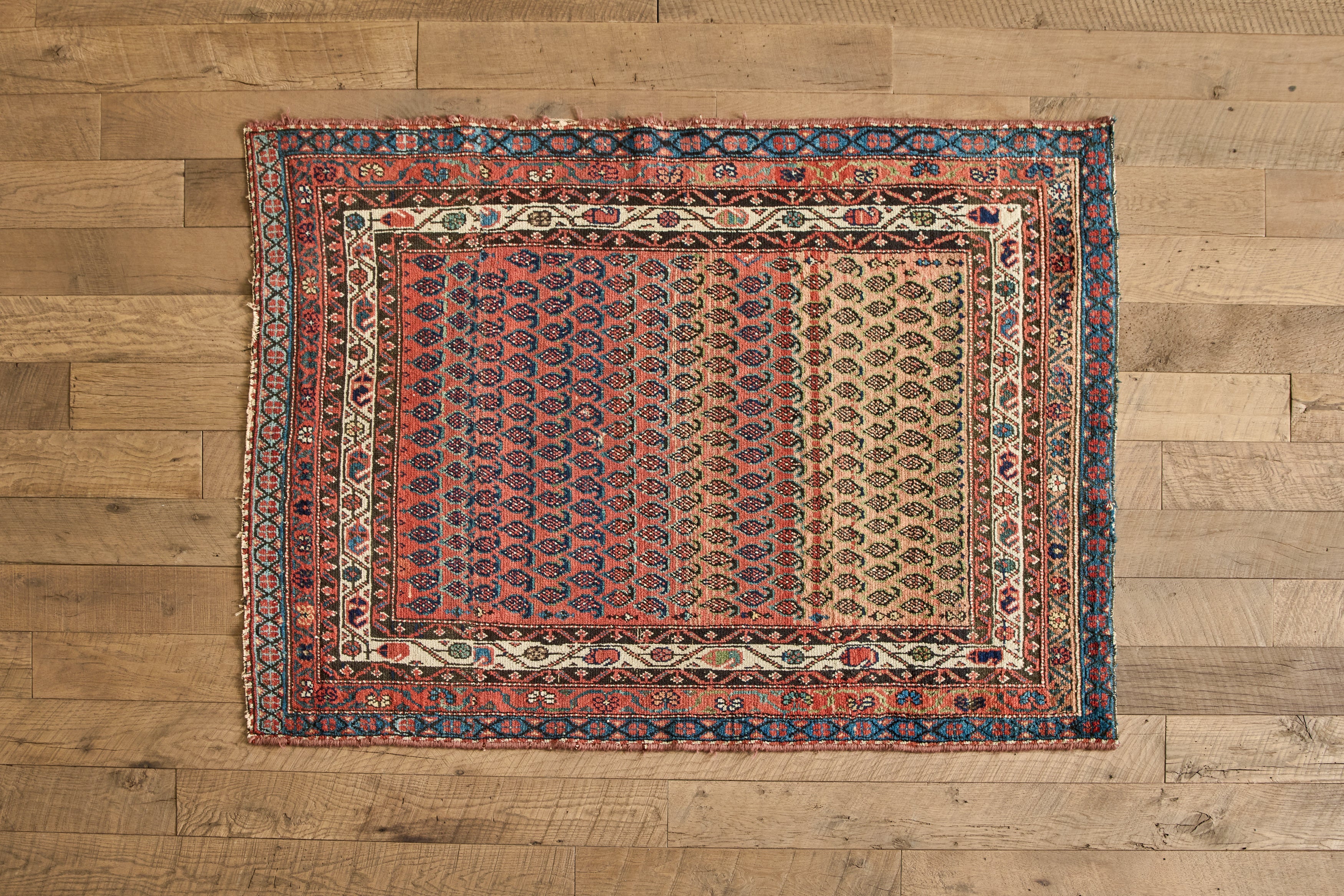 Nicky Kehoe - Paisley Pattern Rug 3'10 X 5'3