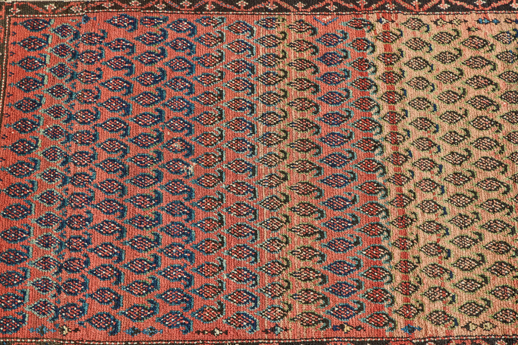 Nicky Kehoe - Paisley Pattern Rug 3'10 X 5'3