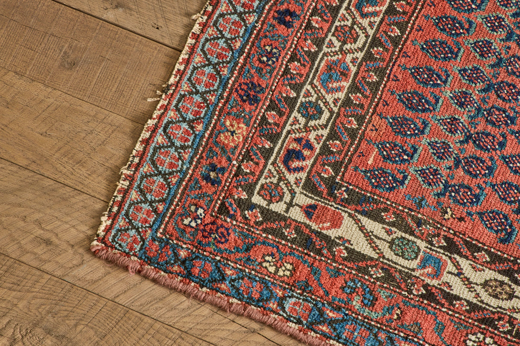 Nicky Kehoe - Paisley Pattern Rug 3'10 X 5'3