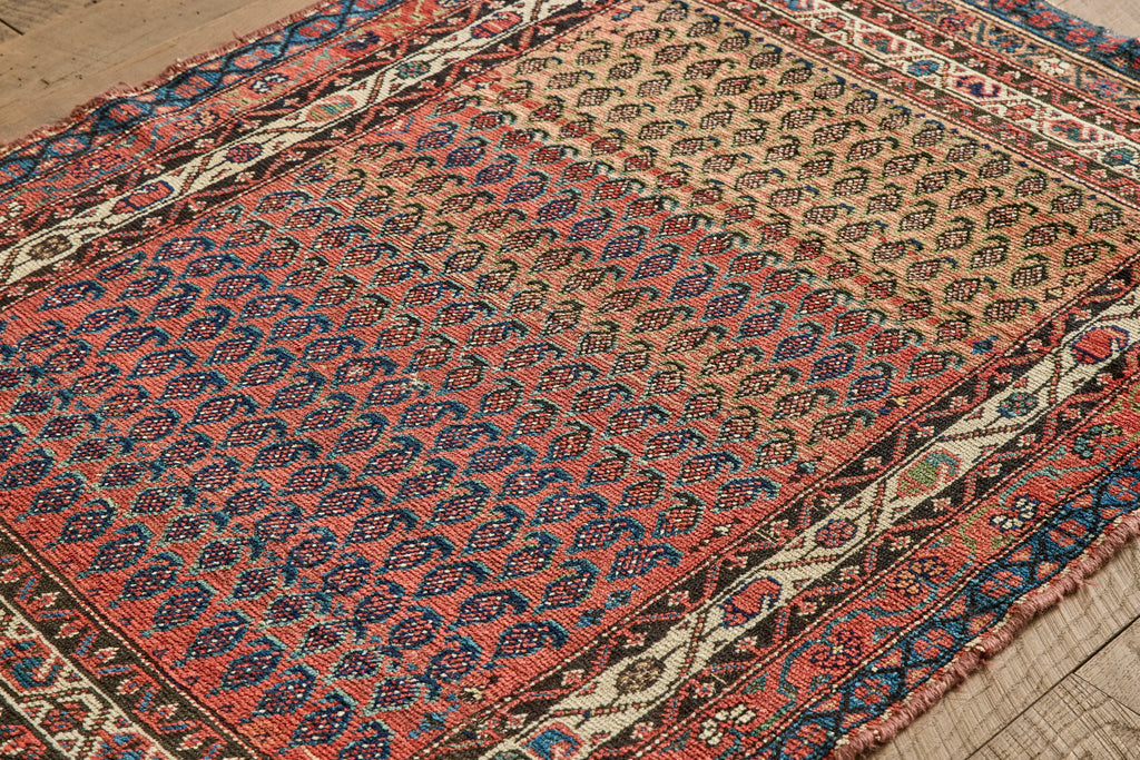 Nicky Kehoe - Paisley Pattern Rug 3'10 X 5'3