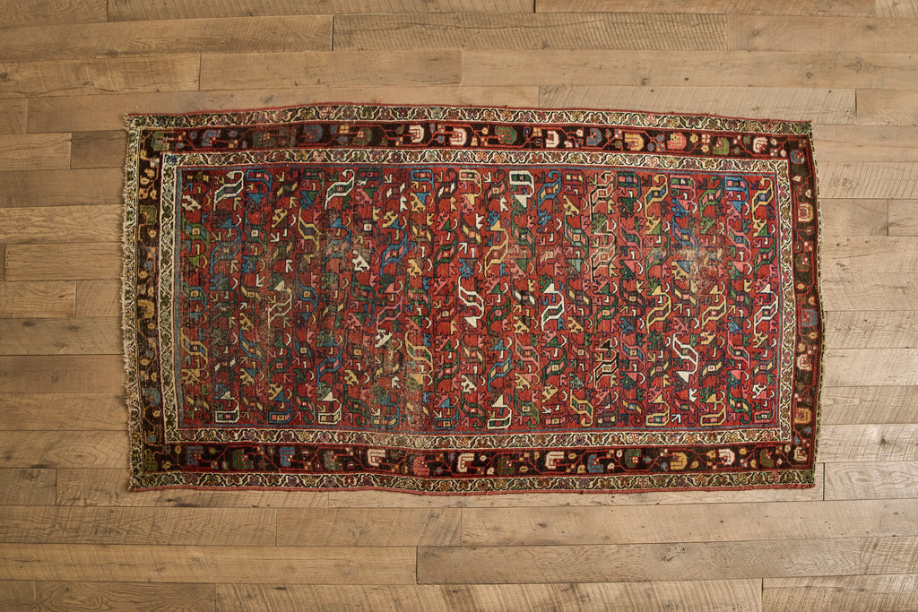 Nicky Kehoe - Multicolor Bidjar Rug 4'3 X 7'7