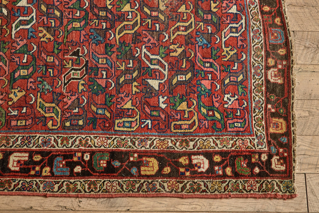 Nicky Kehoe - Multicolor Bidjar Rug 4'3 X 7'7