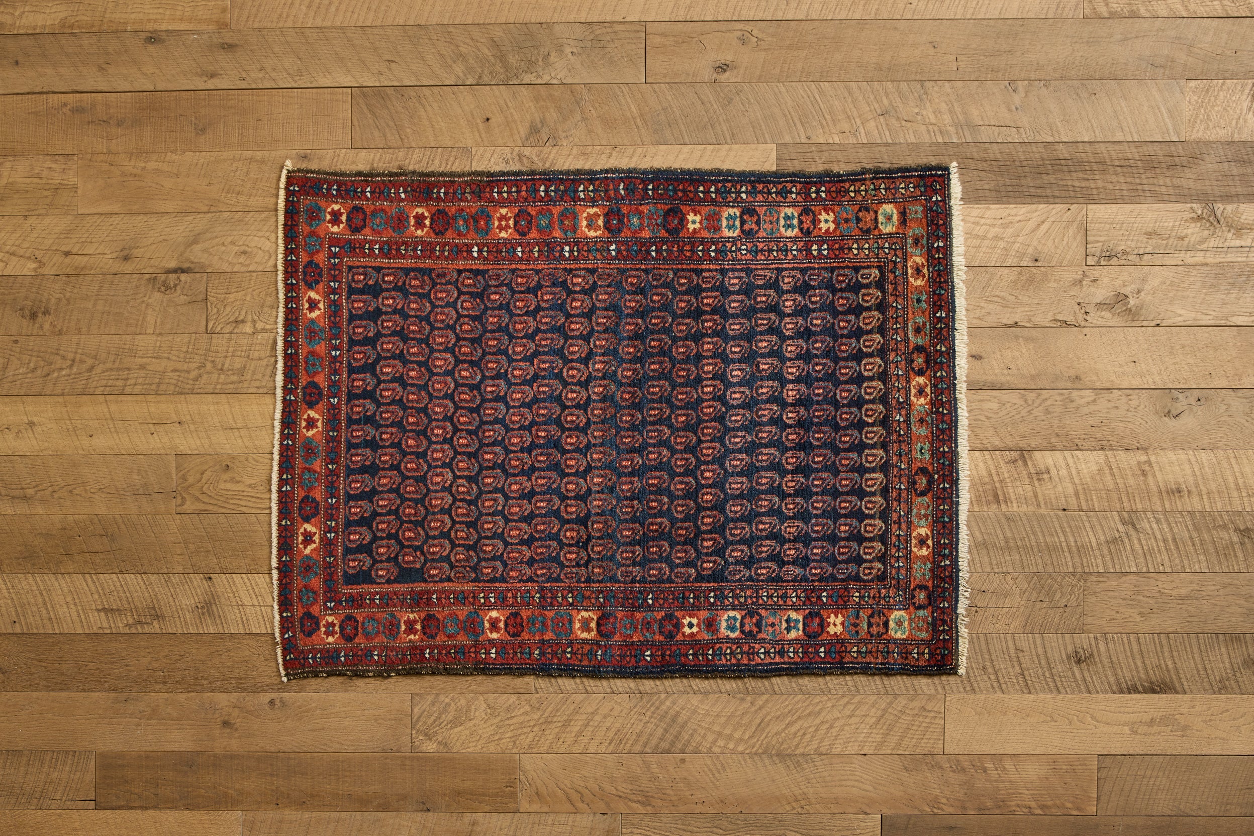 Nicky Kehoe - Paisley Malayer Rug 3'6 X 4'9
