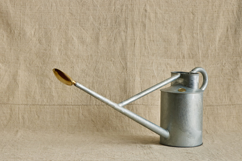 Nicky Kehoe - Steel Zinc Watering Can