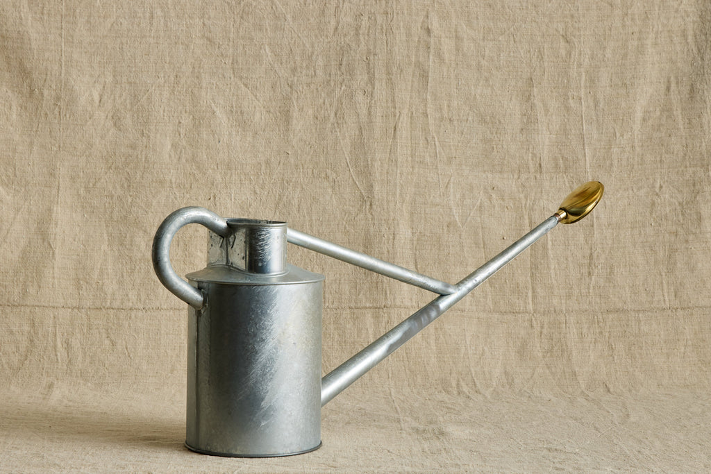 Nicky Kehoe - Steel Zinc Watering Can