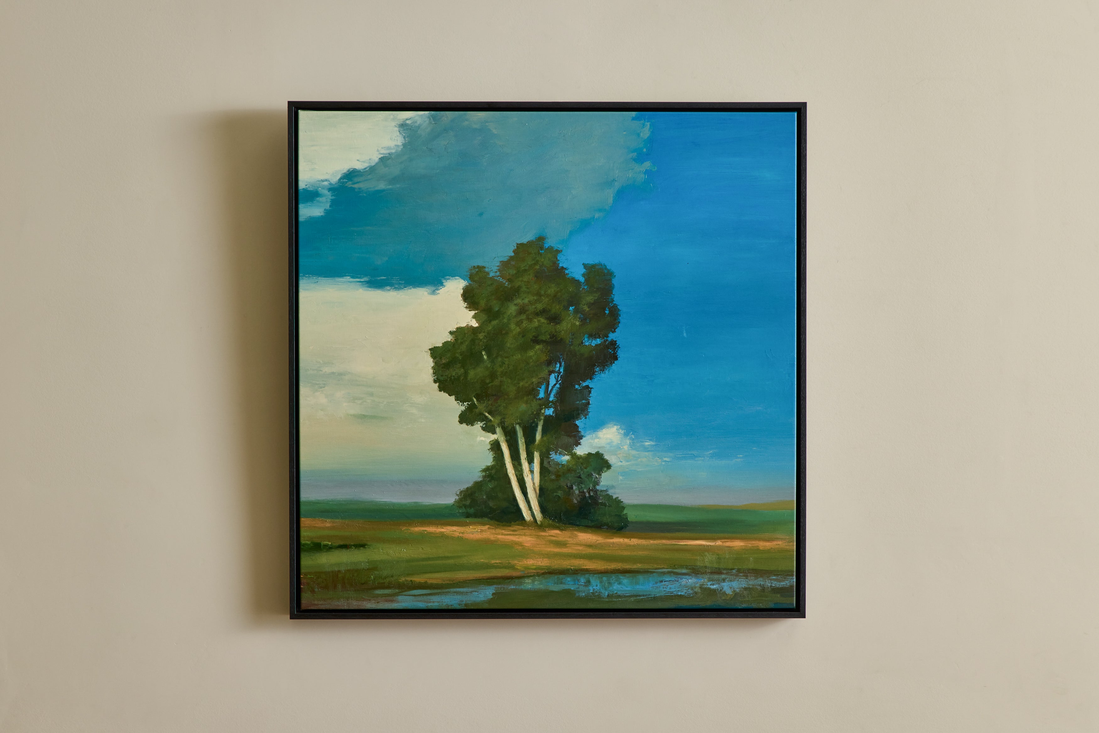 Nicky Kehoe - Field Stream