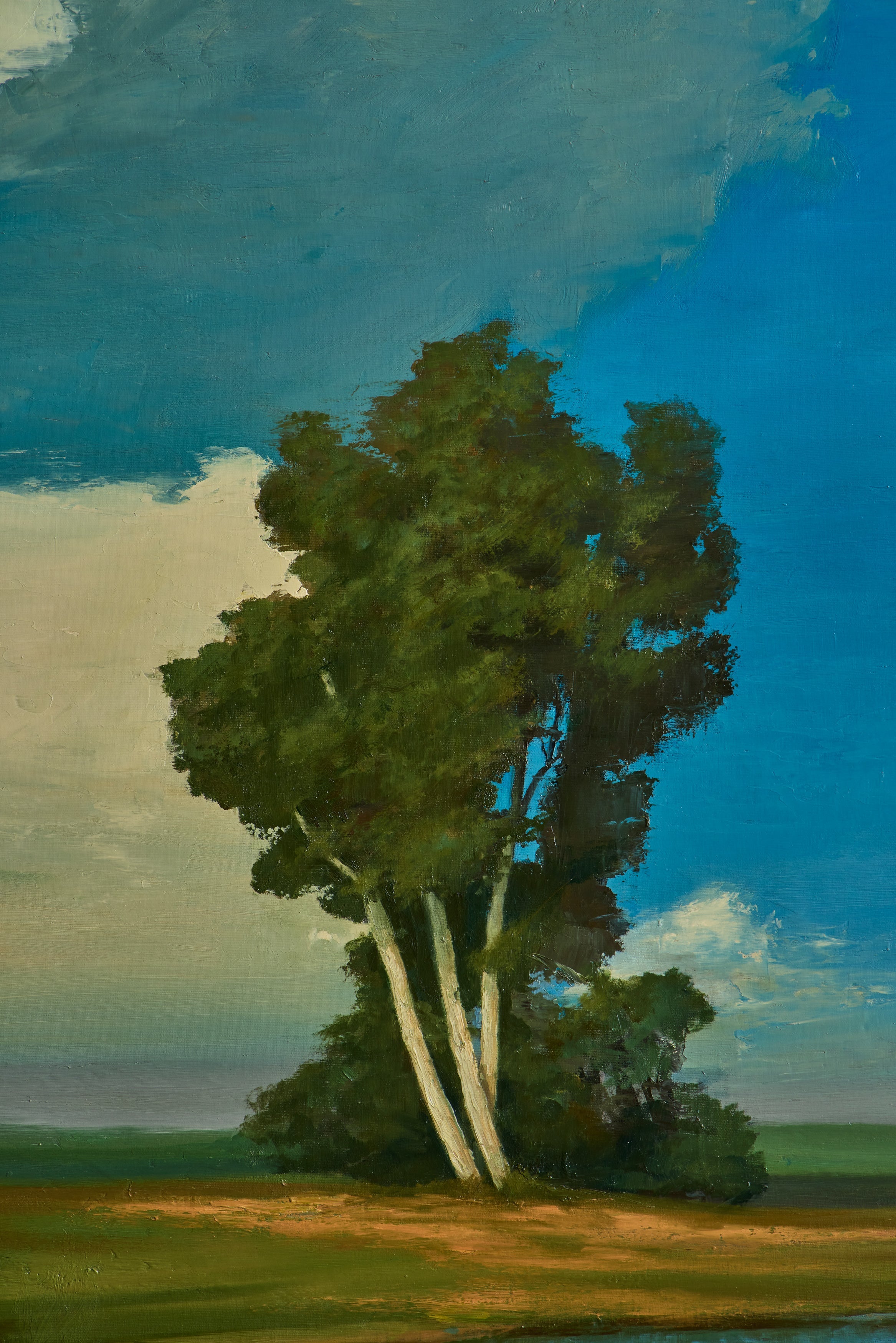 Nicky Kehoe - Field Stream