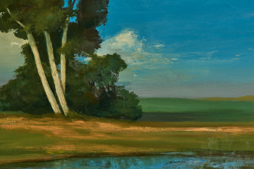 Nicky Kehoe - Field Stream